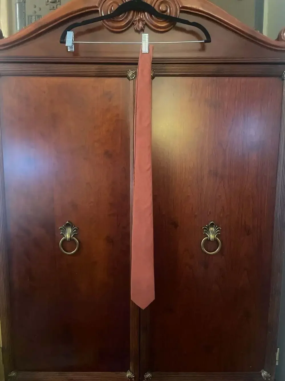 DAZI Cinnamon Rust Solid Skinny Tie with Floral Lining